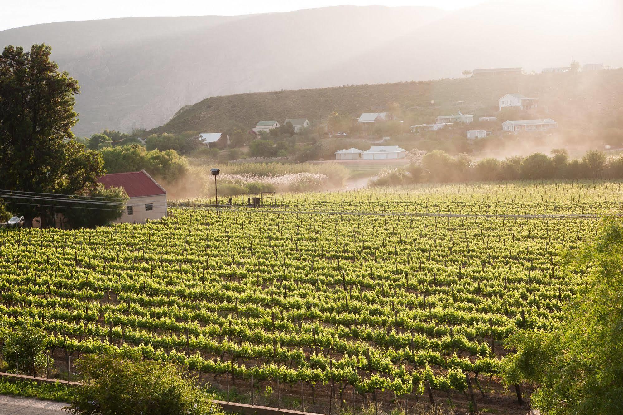 The Queen Of Calitzdorp Exterior photo